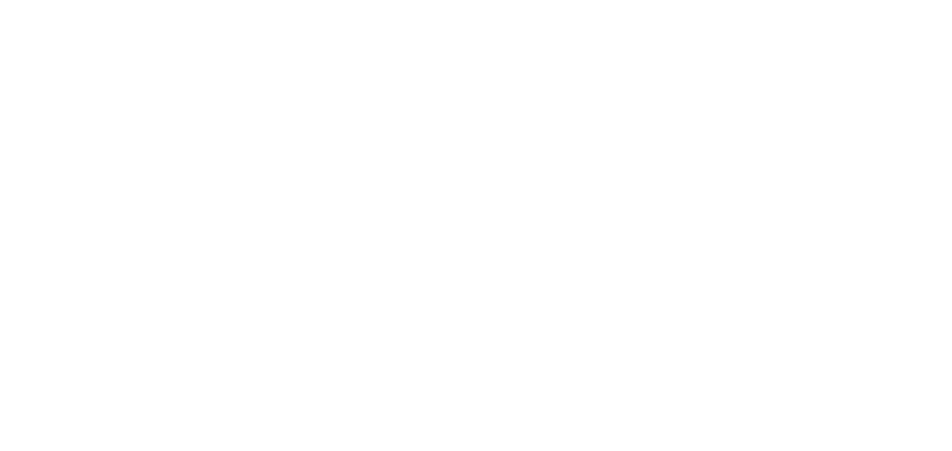 Boost Co. Logo